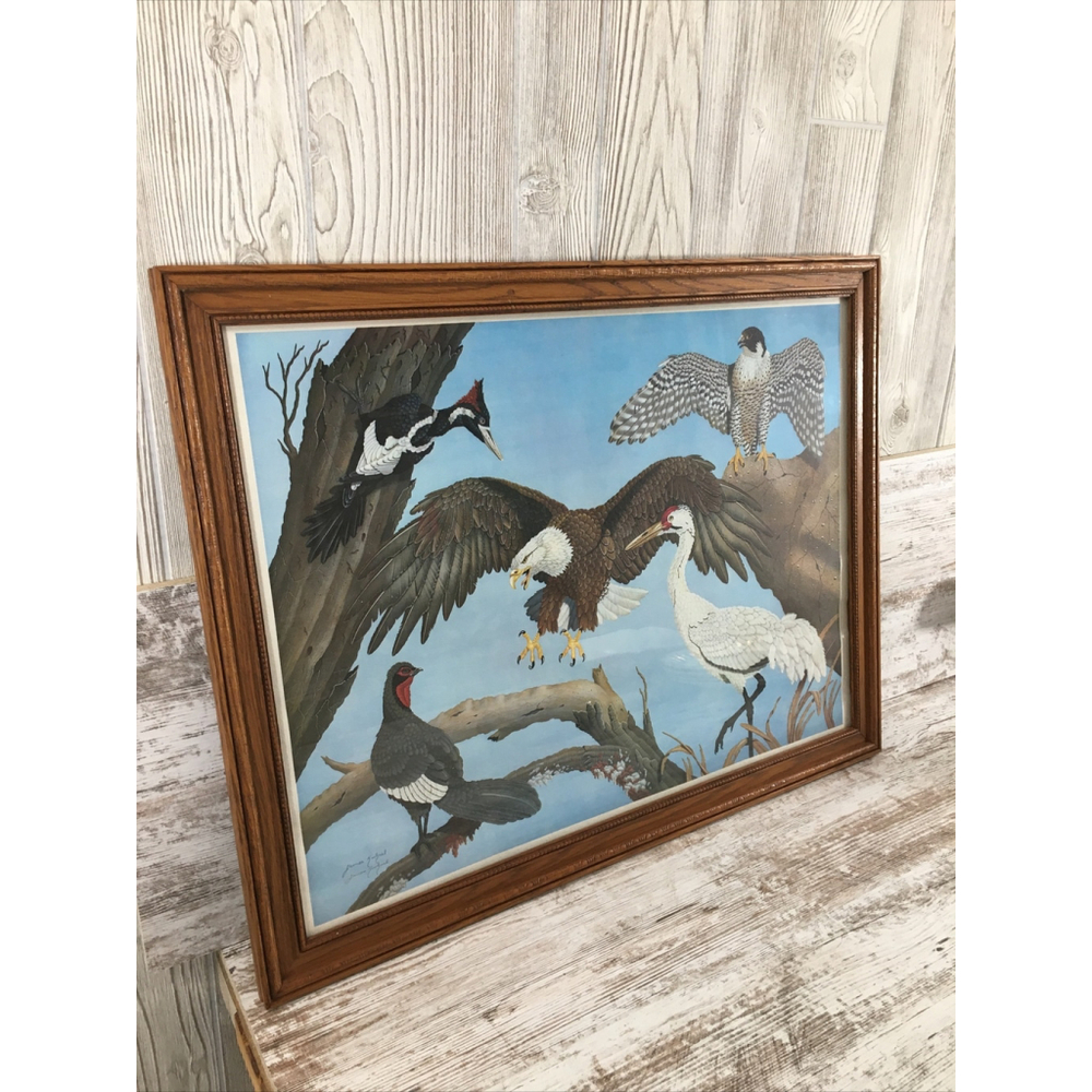 James Kukrul Wildlife Print Signed & Framed Eagle Crane Woodpecker 22x27 - Picture 4 of 16